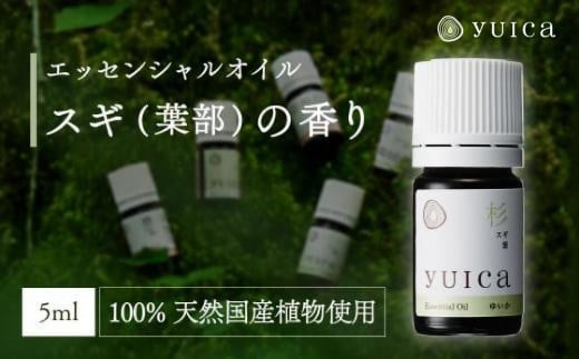 【yuica】エッセンシャルオイル スギ葉部（5ml）| オイル アロマ リフレッシュ 自然 森林 正プラス BF011