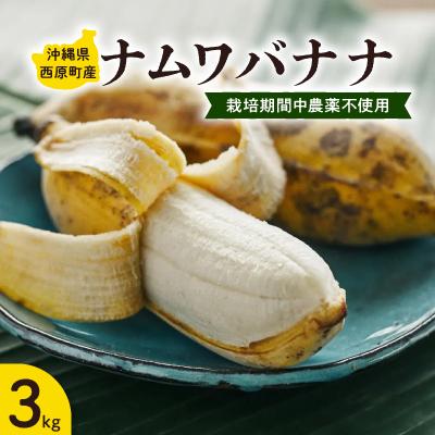 ふるさと納税 西原町 西原町の栽培期間中農薬不使用のナムワバナナ3kg
