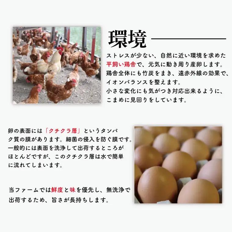 平飼いたまご 定期便 30個 年12回 高橋ファームの丈夫卵 もみじ AQ013