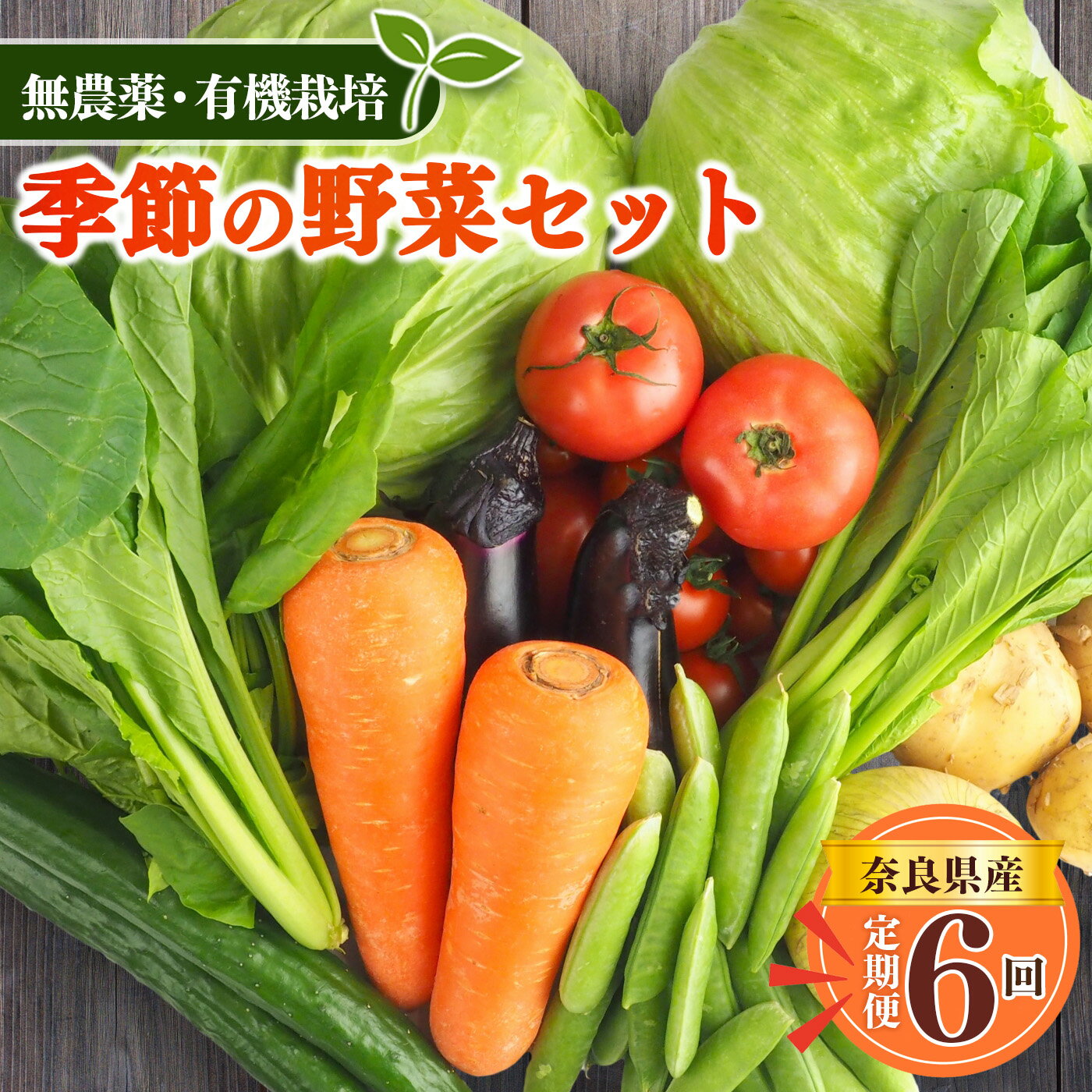 【ふるさと納税】 野菜 【 定期便 6回 】 生命の農法（ 無化学農薬 ・ 無化学肥料栽培 ） 季節の野菜 セット | ヤサイ 野菜 やさい 詰め合わせ 奈良県 五條市