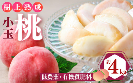 桃 （ 小玉 ）約 4kg 箱 （ 13 ～ 15個 ）|  果物 桃 大容量 西岡農園 