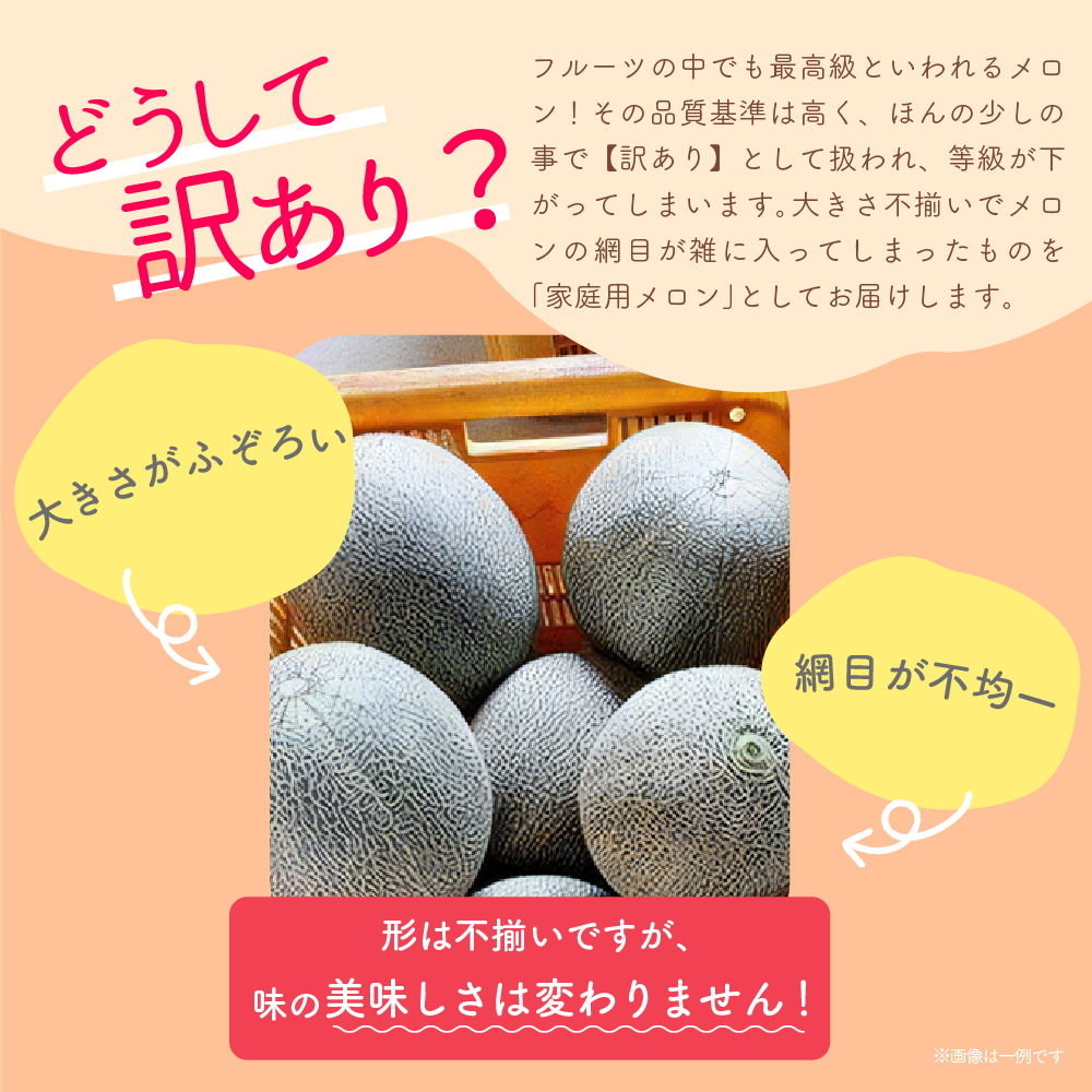 【2025年8月上旬発送】【訳あり】メロン7.5kg程度(赤肉4～8玉)津軽産