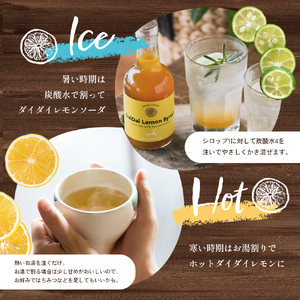 シロップ 飲料 ダイダイレモンシロップ 小豆島 シロップ【3本セット】