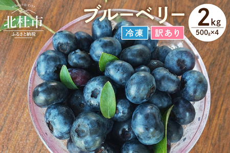 【訳あり】O-B-Iベリ―農園の冷凍ブルーベリー2kg（500g×4）