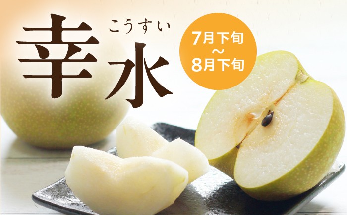 梨 ナシ なし フルーツ 果物