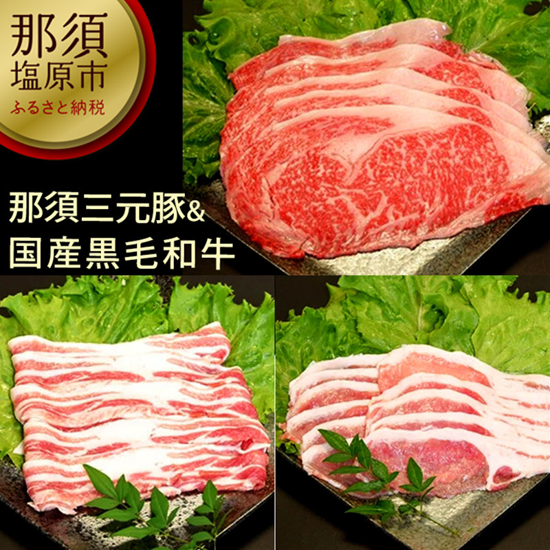 
那須三元豚&国産黒毛和牛セット【 豚肉 牛肉 栃木県 那須塩原市 】
