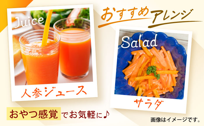 諫早産にんじん 10kg / にんじん ニンジン 人参 キャロット きゃろっと 野菜 やさい 10kg / 諫早市 / 松尾農園 [AHAY030]