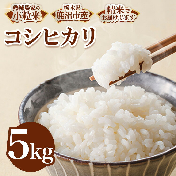 【ふるさと納税】令和7年度産 栃木県鹿沼市産 コシヒカリ 小粒米 (精米) 5kg | 米 お米 こめ おこめ 中米 5キロ 国産 ご飯 ごはん 白飯 白米 産地直送