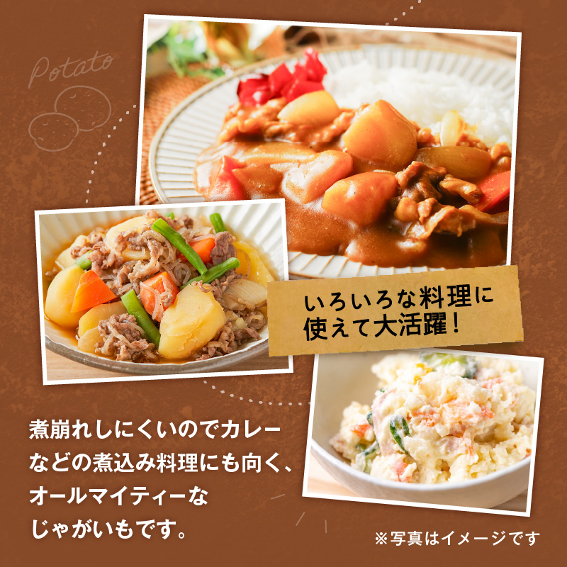 【2026年先行予約】前原さんの特選じゃがいも ゴールド8kg　C062-001