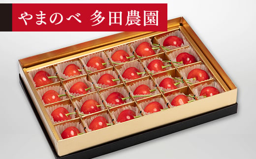 《先行予約》2026年 山形県産 珠玉紅秀峰 みやび箱24粒 やまのべ多田耕太郎のさくらんぼ サクランボ F20A-040