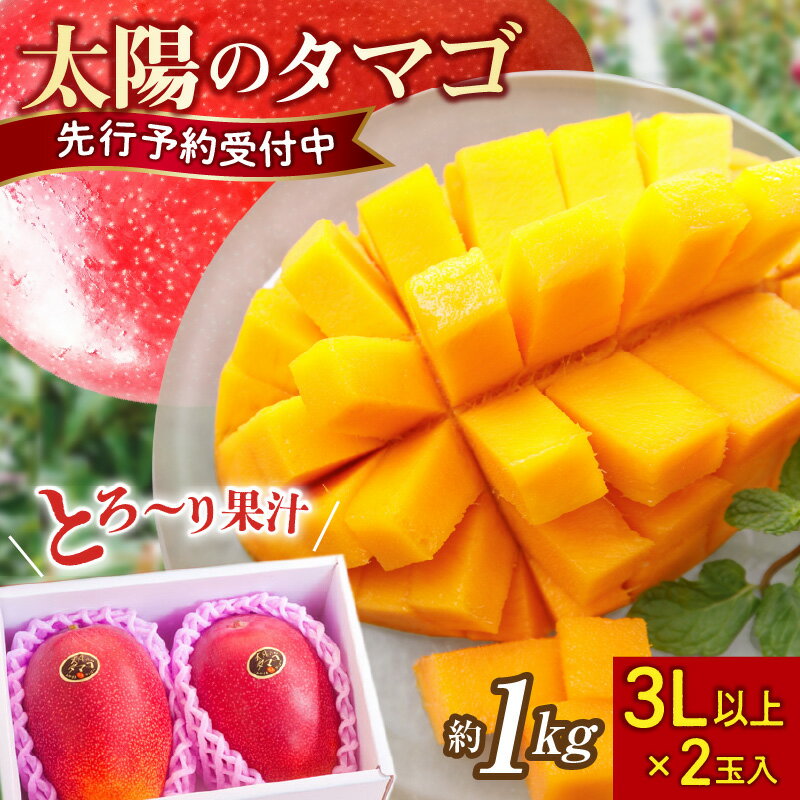 【ふるさと納税】【2026年発送】マンゴー 太陽のタマゴ 3L×2玉 1kg 糖度15度以上 完熟 数量限定 先行予約 厳選 大玉 フルーツ 宮崎 《レビューキャンペーン実施中》