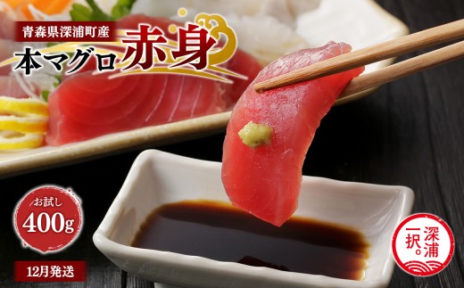
                  青森県深浦町産 天然本マグロ 赤身 400g 200g×2 冷凍柵 深浦マグロ 刺身 海鮮 鮪 まぐろ【fu-0015-012_12】
                