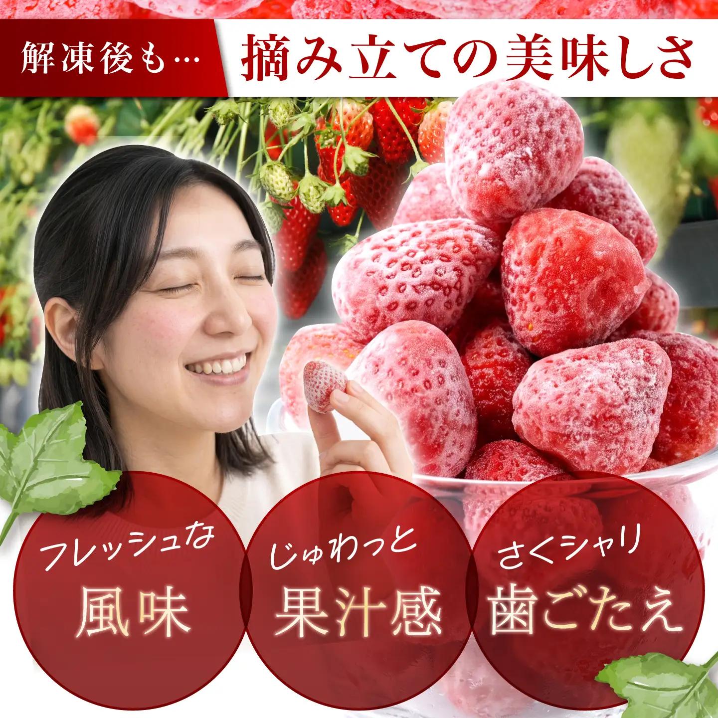 瞬間冷凍イチゴ / いちご イチゴ 冷凍 フローズン フルーツ 果物 ストロベリー / 多治見市 / 廿原ええのお[TCI005]