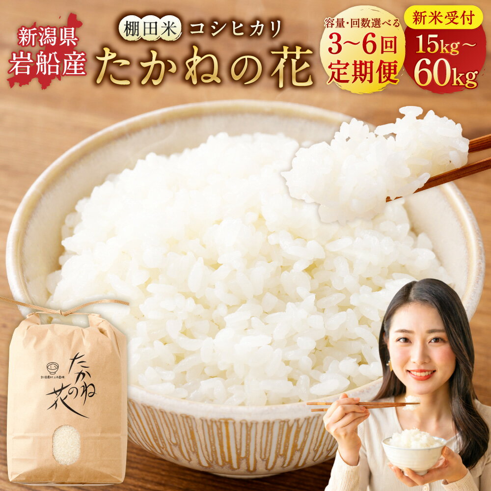 【ふるさと納税】【新米受付・令和8年産米】【選べる容量・回数】 5kg・10kg / 3・6回【定期便】新潟県村上市岩船産　棚田米コシヒカリ「たかねの花」米 お米 白米 ご飯 ごはん コシヒカリ 新潟県 村上市 送料無料 1104003N 1104004N 1104005N 1104006N