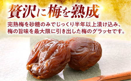 福井県産 梅グラッセ うめのあまつぶ 10粒入 / 紅映梅使用 上品な甘酸っぱさ 梅 ウメ 小浜市 / アップ・トゥ・ユウ[BFAU007]