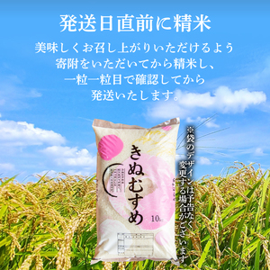 【新米】きぬむすめ 10kg 精米 お米 HC