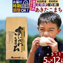 【ふるさと納税】※令和6年産 新米予約※《定期便12ヶ月》秋田県産 あきたこまち 5kg【白米】(5kg小分け袋) 2024年産 お届け時期選べる お届け周期調整可能 隔月に調整OK お米 藤岡農産