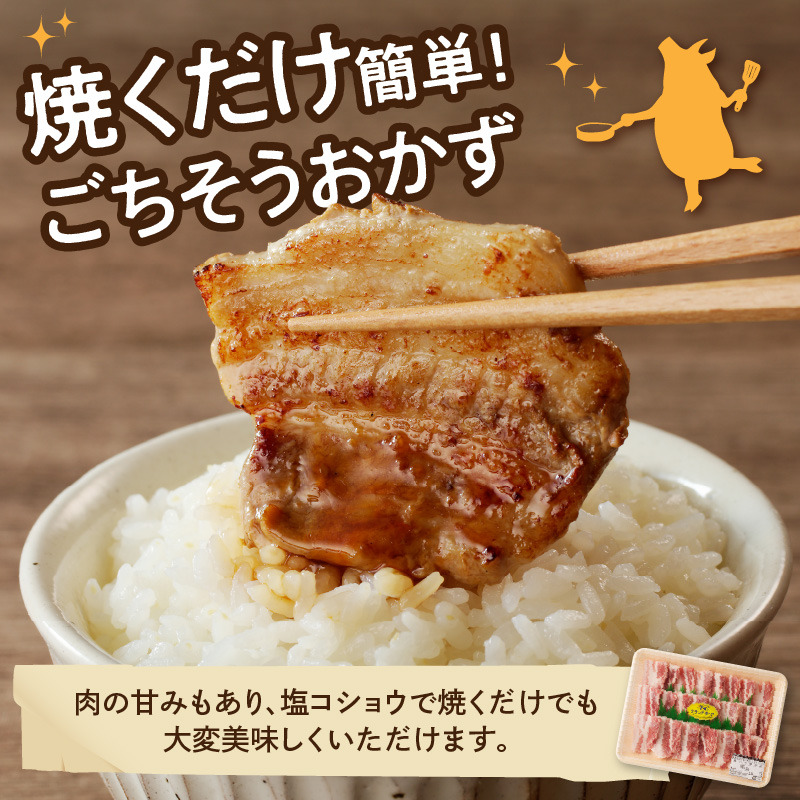 宮崎ブランドポーク 豚バラ 焼肉 1kg　N061-YZA142