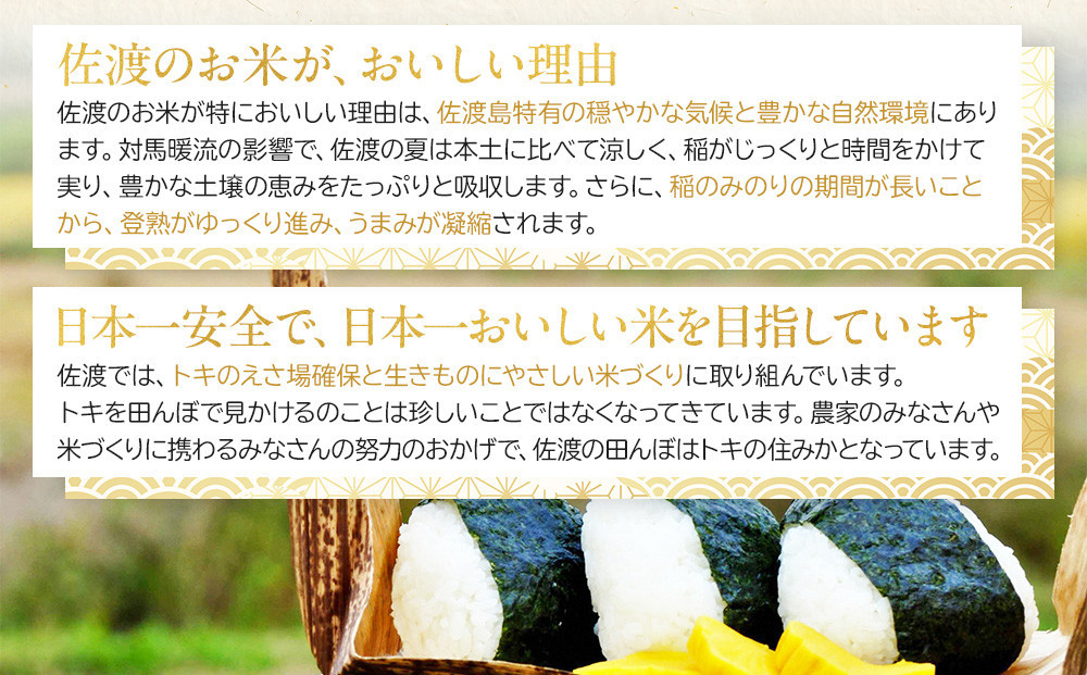 【令和7年産】佐渡産コシヒカリ 5kg×2袋セット