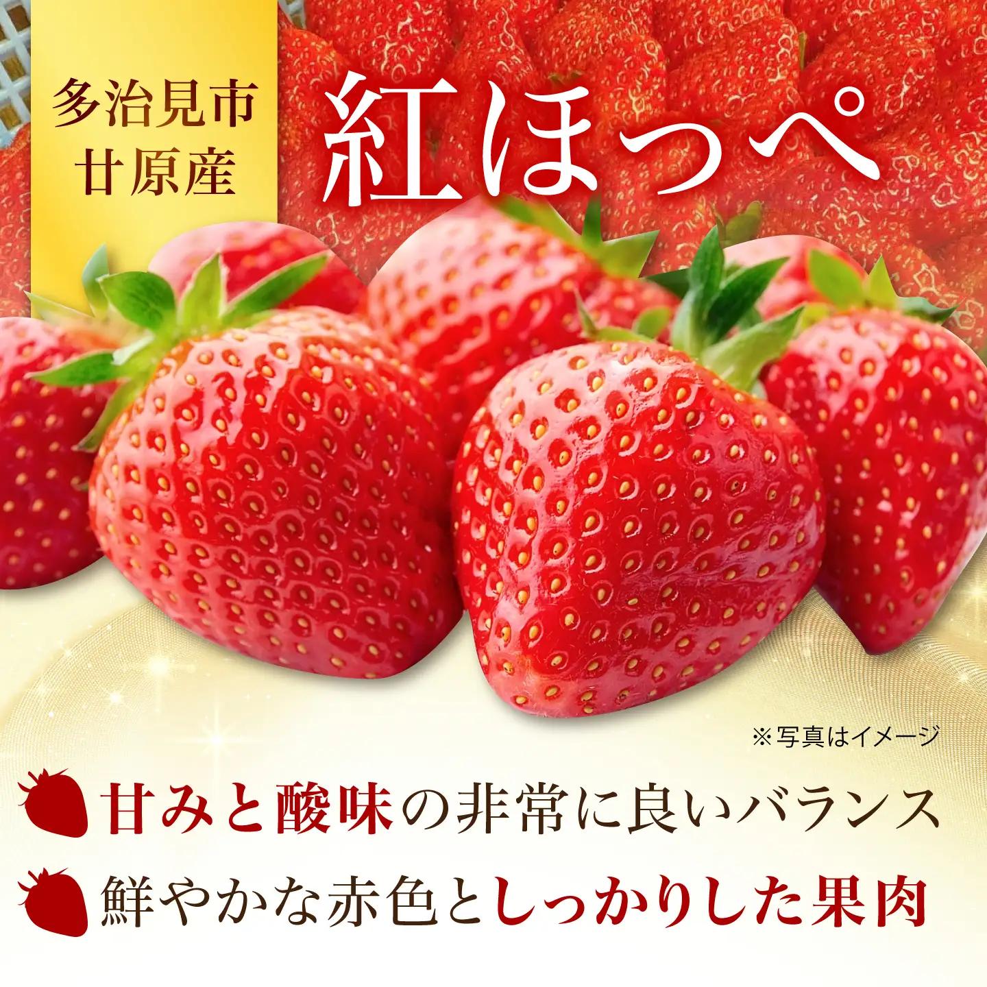 瞬間冷凍イチゴ / いちご イチゴ 冷凍 フローズン フルーツ 果物 ストロベリー / 多治見市 / 廿原ええのお[TCI005]