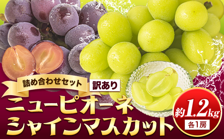 【先行予約】訳あり シャインマスカット・ニューピオーネ 詰め合わせ 約1.2kg 2房《9月中旬-11月上旬頃出荷》岡山県 浅口市 果物 くだもの ぶどう 葡萄 マスカット フルーツ デザート 優品