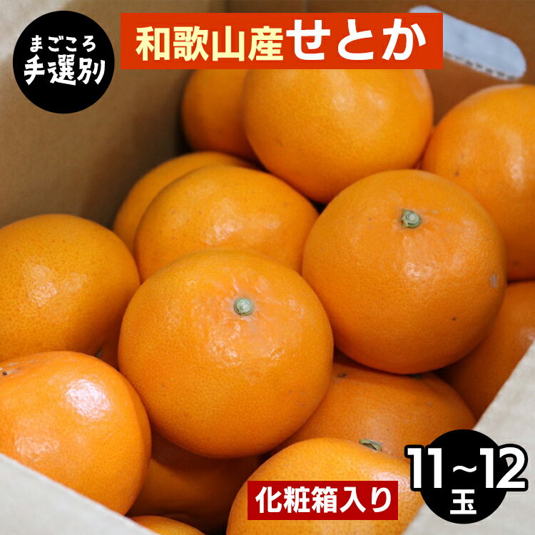 【ふるさと納税】【先行予約】【まごころ手選別】和歌山県産 せとか 化粧箱 約3kg（11～12玉）秀品 L～3Lサイズ混合 柑橘