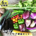 【ふるさと納税】【定期便 6回】 ひばり農園の無農薬ワクワク 野菜セット 《 予約受付 6月より発送開始》 ふるさと納税 野菜 定期便