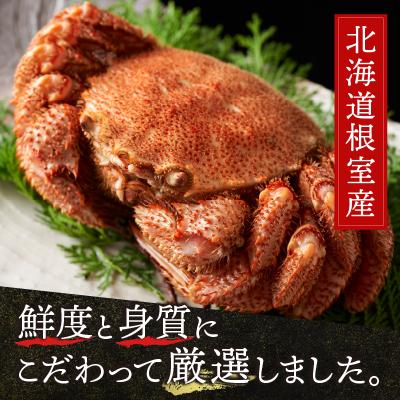 ふるさと納税 根室市 【北海道根室産】毛がに600g前後×1尾 B-21006 |  | 02