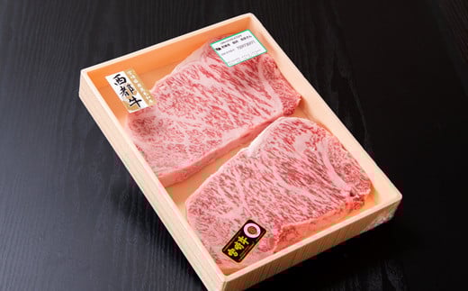 宮崎牛 サーロインステーキ500g(250g×2枚) 内閣総理大臣賞4連続受賞 4等級以上<3-43>牛肉 ステーキ 黒毛和牛 日本一 ブランド牛 宮崎県西都市