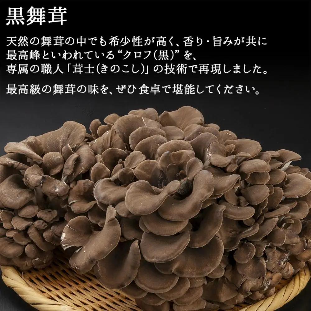 新潟県 南魚沼産 厳選 国産 黒 高級 舞茸 まいたけ 産地直送 700g ×3箱 計2.1kg