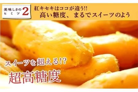 干し芋 おいもや の 二代目干し芋 100ｇ×８袋セット 計800ｇ おいもや 角 角切り スティックタイプ 5861