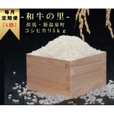 ふるさと納税 新温泉町 【毎月定期便】和牛の里-但馬・新温泉町 コシヒカリ 精米 5kg全6回