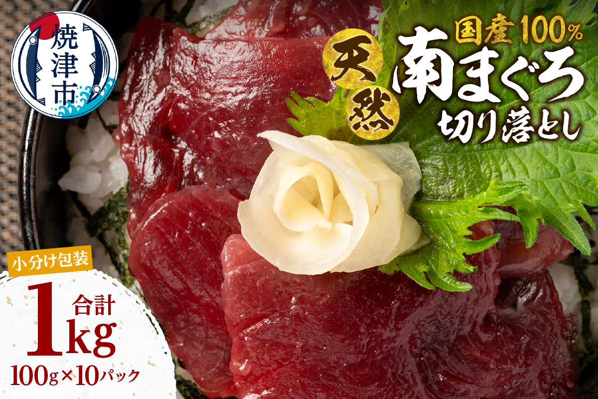 a12-278　天然 ミナミマグロ 切り落し 小分け 焼津 海の極 計1kg 100g×10P