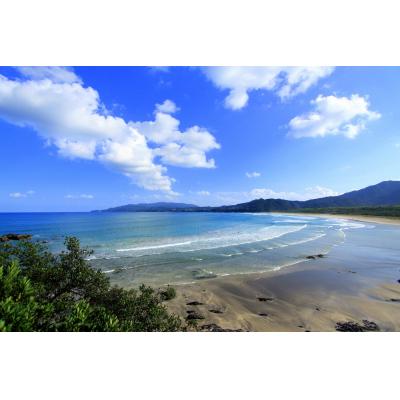 ふるさと納税 土佐清水市 高知・大岐の浜 サーフィン スクール 体験券 1名分(初心者向けコース)【R01593】 |  | 02