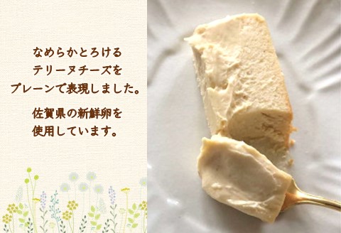 テリーヌチーズ【チーズケーキ ケーキ とろける 濃厚 しっとり なめらか トロトロ クリーミー とろけるチーズ おやつ デザート カフェタイム ギフト 洋菓子 誕生日】 A1-A080002