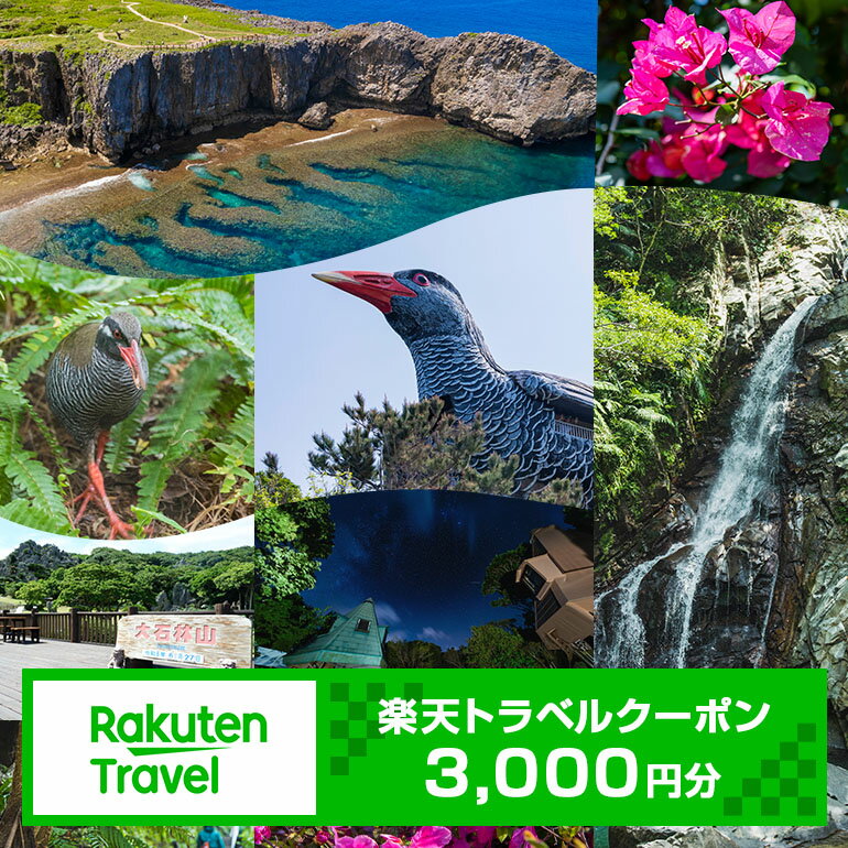 【ふるさと納税】沖縄県国頭村の対象施設で使える楽天トラベルクーポン 寄付額10,000円