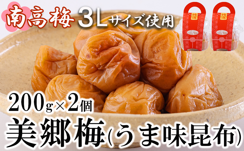 南高梅 梅干し 美郷梅 昆布 200g×2 3Lサイズ 塩分控えめ A級品 [農林産物直売所 美郷ノ蔵 宮崎県 美郷町 31ab0109] 国産 宮崎県産 美郷産 常温 送料無料 贈答品 父の日 母の日 プレゼント ギフト おやつ お菓子 料理 調理 おかず