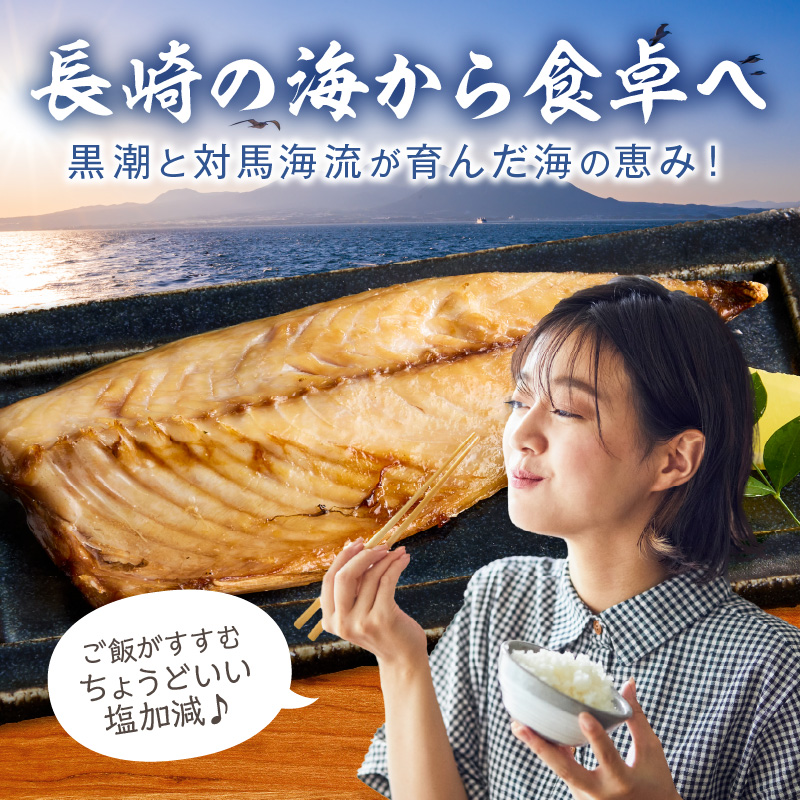 松浦・潮風のたより 塩サバフィレ一夜干し15枚入り( 魚 干し物 サバ 海鮮 干物 おすすめ 人気 セット ひもの さば 詰め合わせ 国産 )【A8-038】