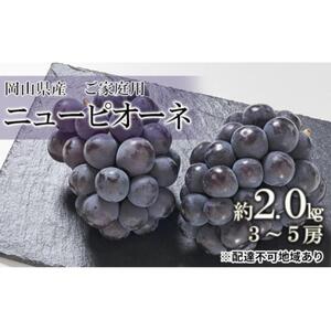 ご家庭用 ニュー ピオーネ  約2.0kg（3～5房）（クール便）｜  ピオーネ