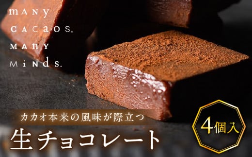 生チョコレート（４個入り） チョコレート 生チョコ 口溶け ソフト クリーミー カカオ おやつ スイーツ デザート 洋菓子 贈り物 手土産 プレゼント バレンタイン 冷凍 奈良県 生駒市 送料無料