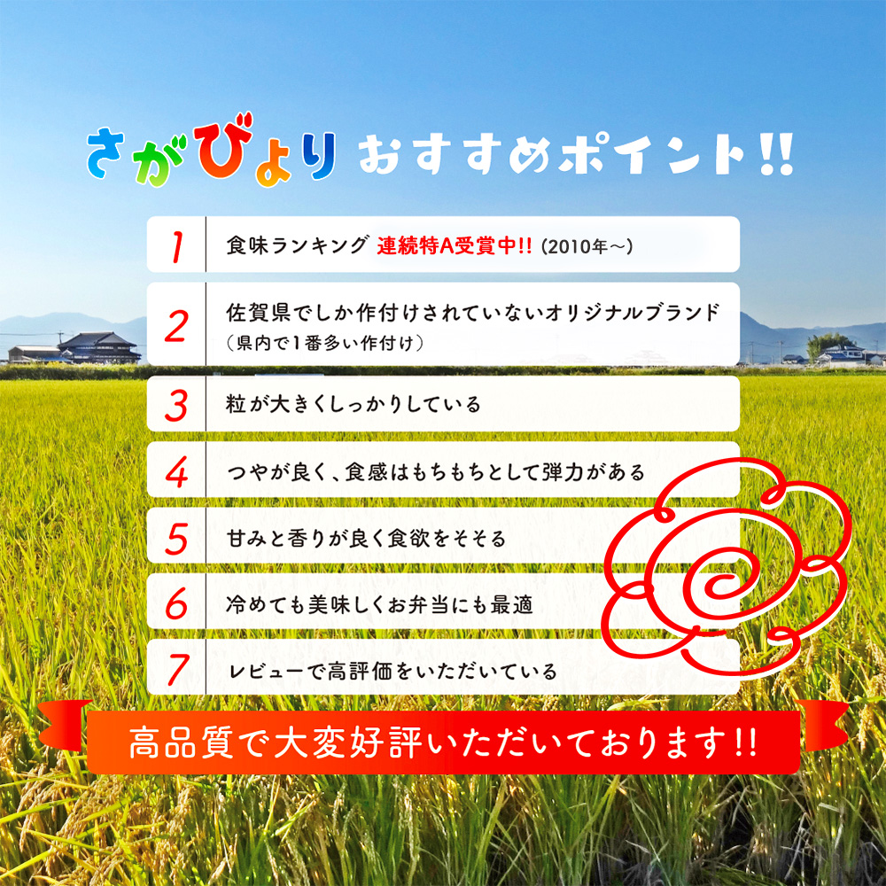 【令和7年産】ごはんソムリエが厳選 無洗米 さがびより 5kg【神埼市産 米 お米 無洗米 精米 白米 5kg さがびより ブランド米 食味鑑定士】(H063159)