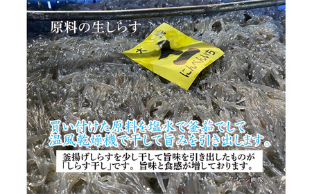No.442 しらす干し　1040g（130g×8パック）【茨城県共通返礼品 大洗町】