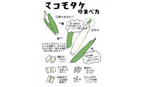 出雲國マコモタケ（生） 1kg 出雲市産【1_1-049】