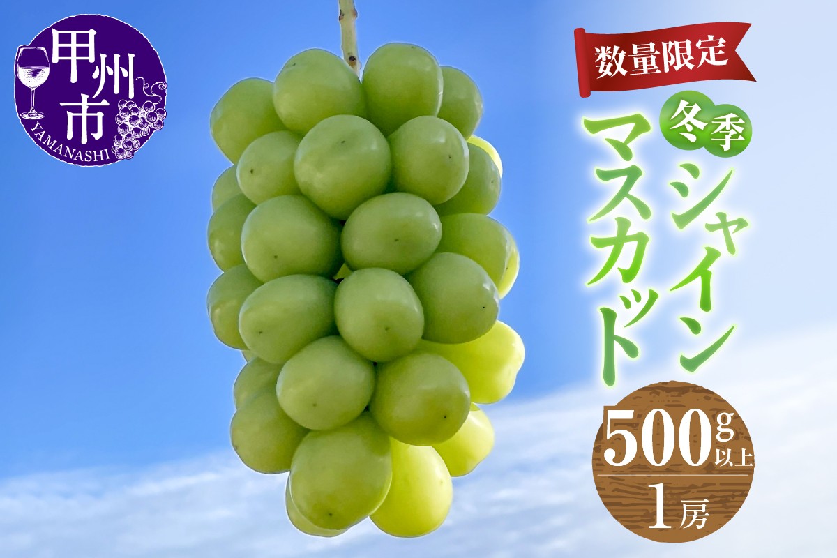 
            【農家直送】【冬季・数量限定！！】冬季シャインマスカット 1房（500g以上）（ABE）B12-904 【シャインマスカット 葡萄 ぶどう ブドウ 期間限定 山梨県産 甲州市 フルーツ 果物】
          