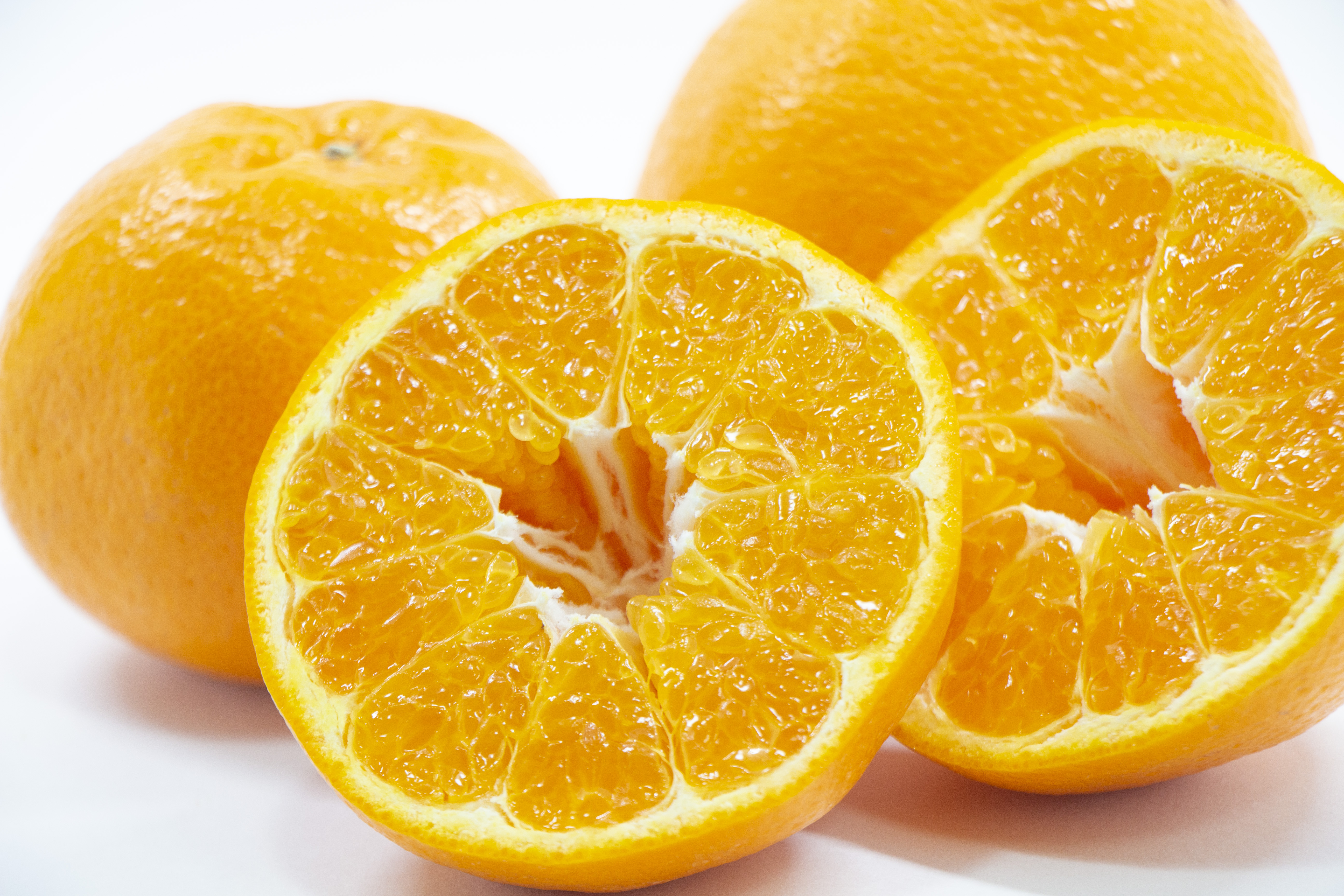 【先行予約】Saito Orange Farmのはるみ5kg（2026年2月上中旬頃より順次発送） IKTAQ016
