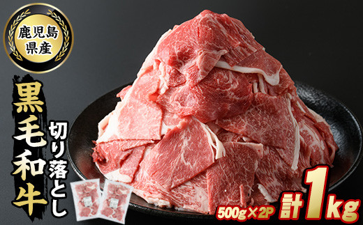 
鹿児島県産 黒毛和牛切落し(計1kg・500g×2P)【スターゼン】starzen-6080
