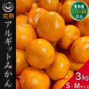 【ふるさと納税】完熟 アルギット みかん 3kg S ～ M サイズ | 年内発送 可 先行予約 みかん 有田みかん 甘い おいしい ジューシー 皮 薄い 完熟 期間限定 フルーツ 果物 人気 おすすめ 高級 こだわり ギフト 旬 お取り寄せ 送料無料 和歌山