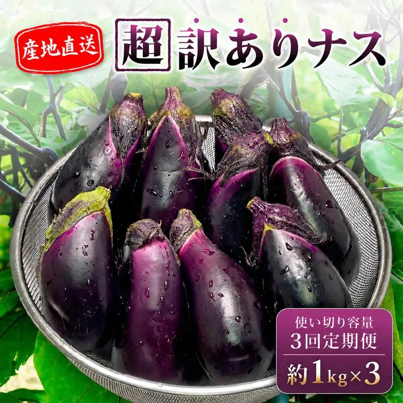 【先行受付】 【3回定期】 安田町産 「超」 訳あり ナス なす なすび 1kg×3回 YM1100