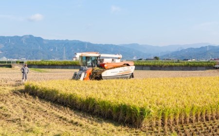 【6ヶ月定期便】日永園 ヒノヒカリ 白米10kg×6ヶ月 【2025年11月下旬より発送予定】 米 お米 ご飯  うきは市