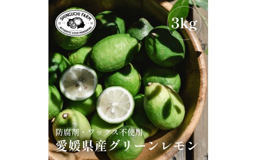 【先行受付】【皮ごと食べられる】瀬戸内グリーンレモン 3kg 防腐剤・ワックス不使用【C70-47】【1550650】 YWTK047